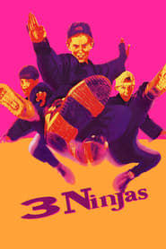 پوستر ۳ نینجا