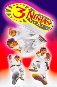پوستر 3 Ninjas Knuckle Up